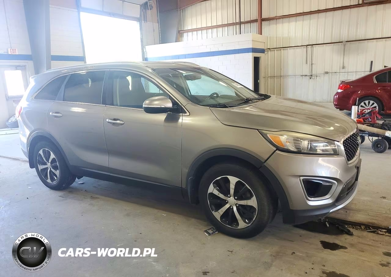 2016 Kia Sorento Ex VIN:5XYPH4A50GG142832 - 4