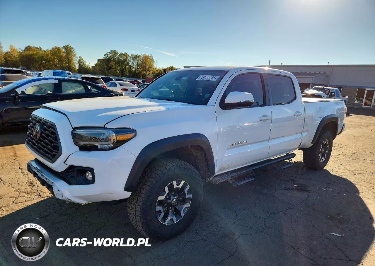 2020 Toyota Tacoma Trd Off-Road VIN:3TMDZ5BNXLM095522 - 1
