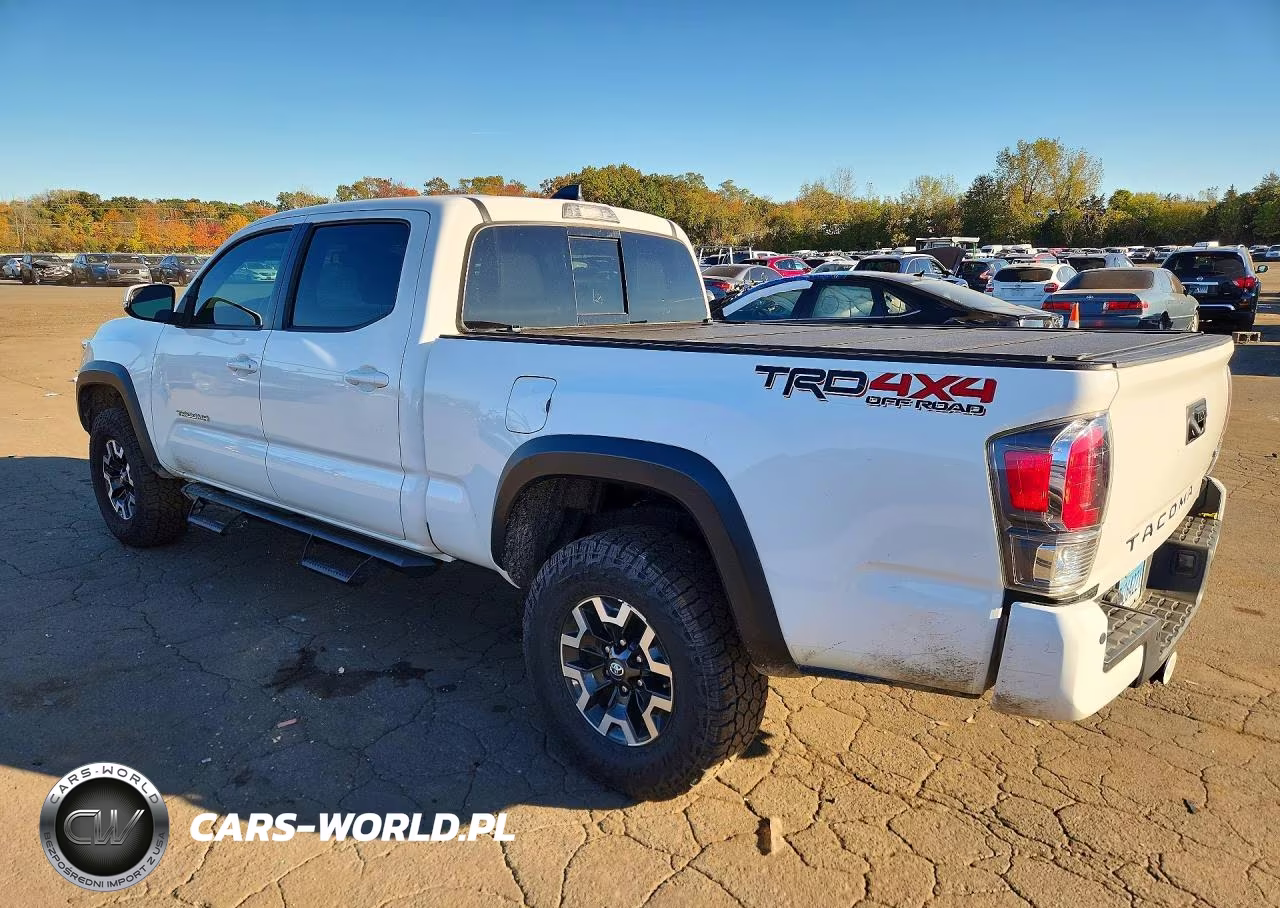 2020 Toyota Tacoma Trd Off-Road VIN:3TMDZ5BNXLM095522 - 2