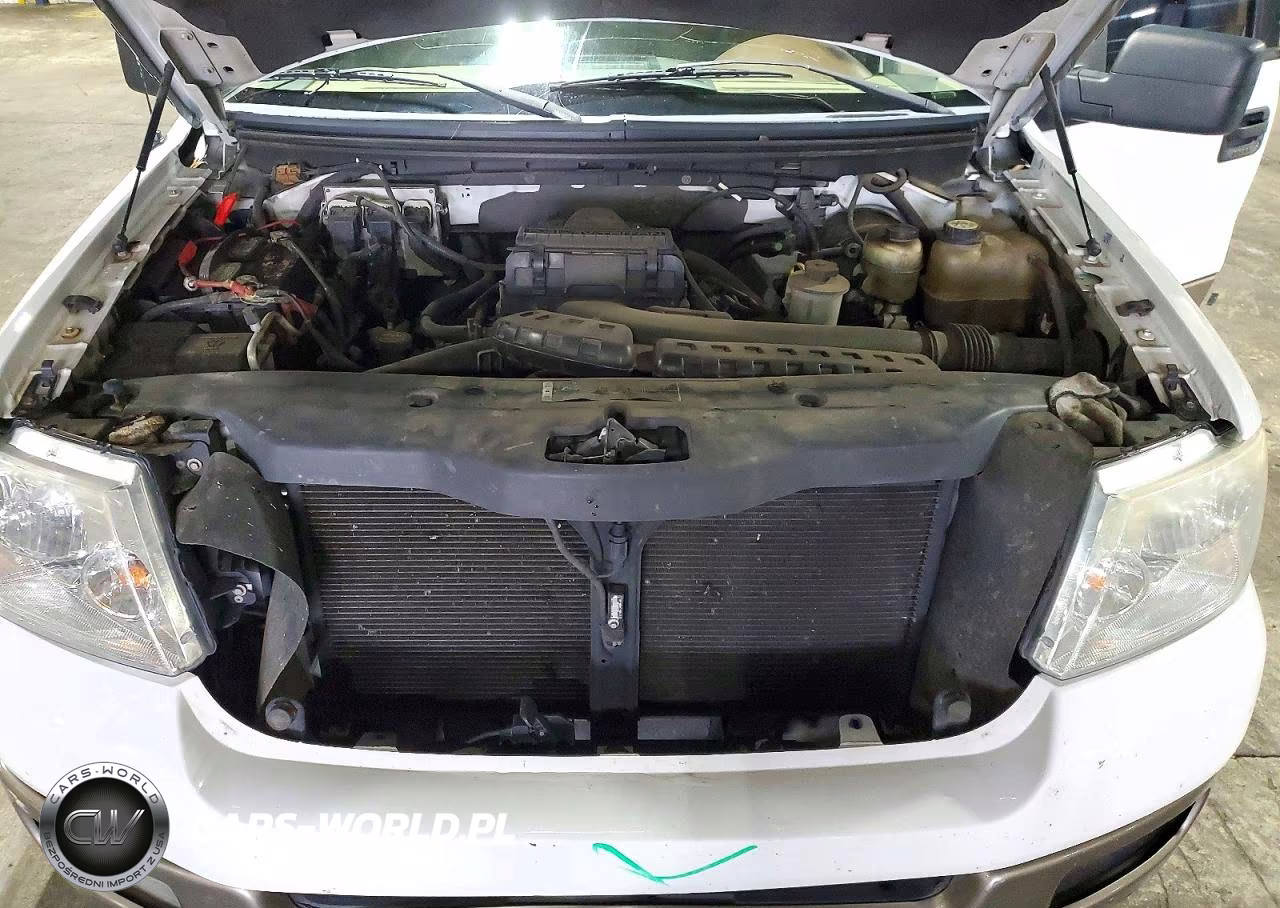 2005 Ford F150 Supercrew VIN:1FTPW14585KE84438 - 11
