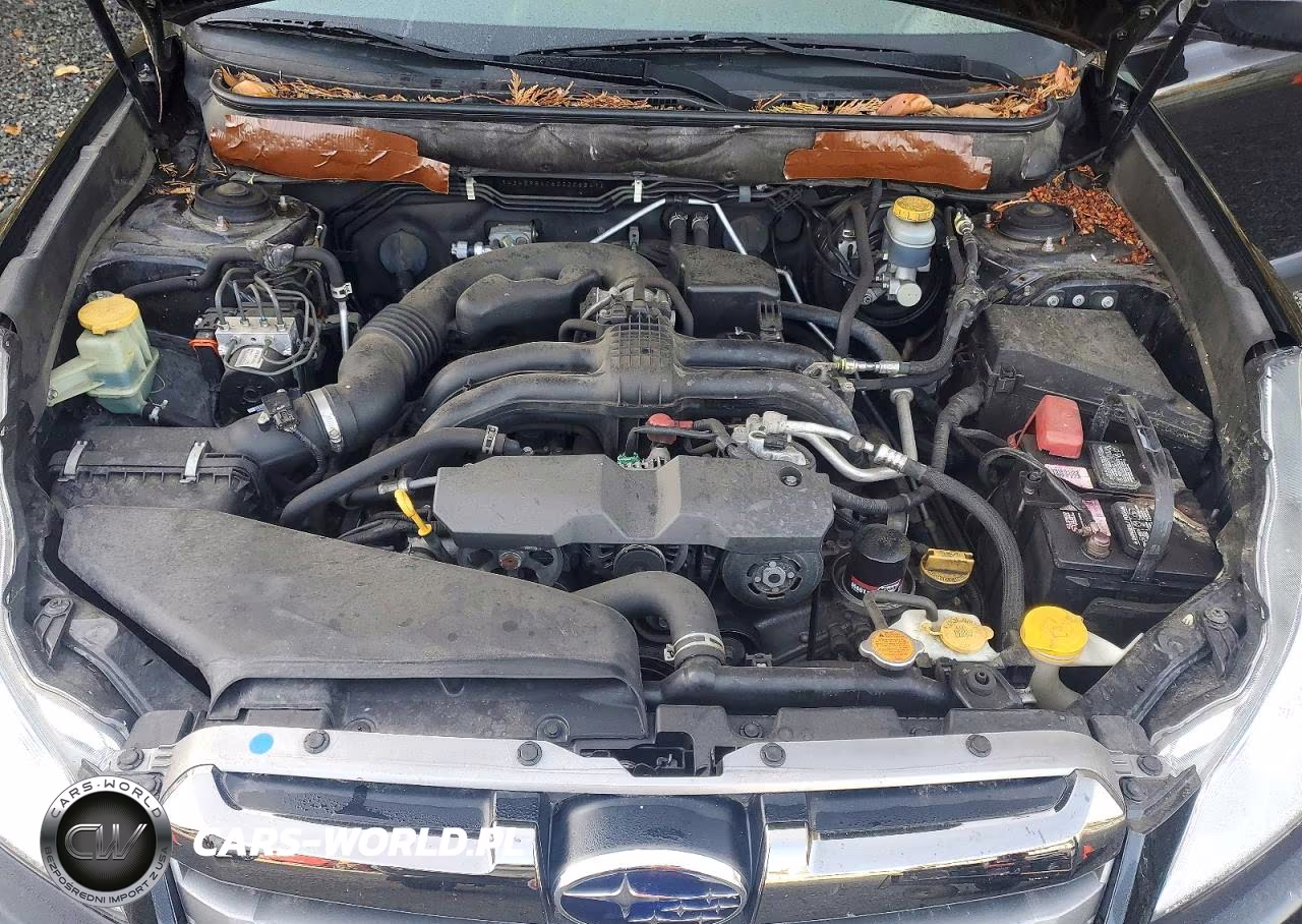 2014 Subaru Outback 2.5I VIN:4S4BRBAC6E3206847 - 12