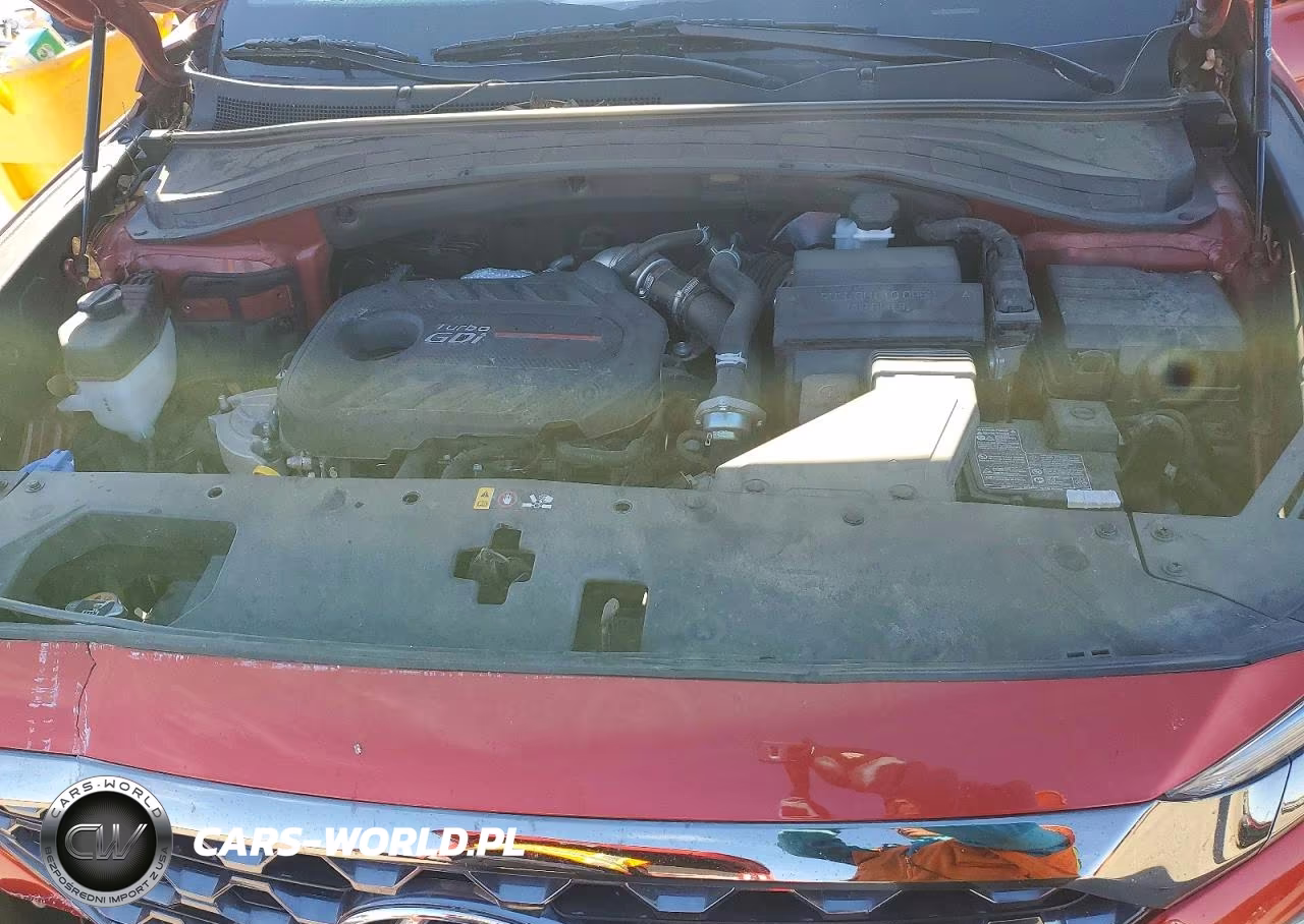 2020 Hyundai Santa Fe Limited VIN:5NMS53AA5LH271532 - 12