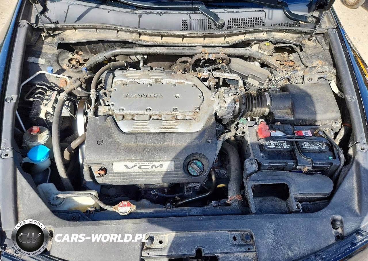2008 Honda Accord Exl VIN:1HGCS22888A015973 - 11