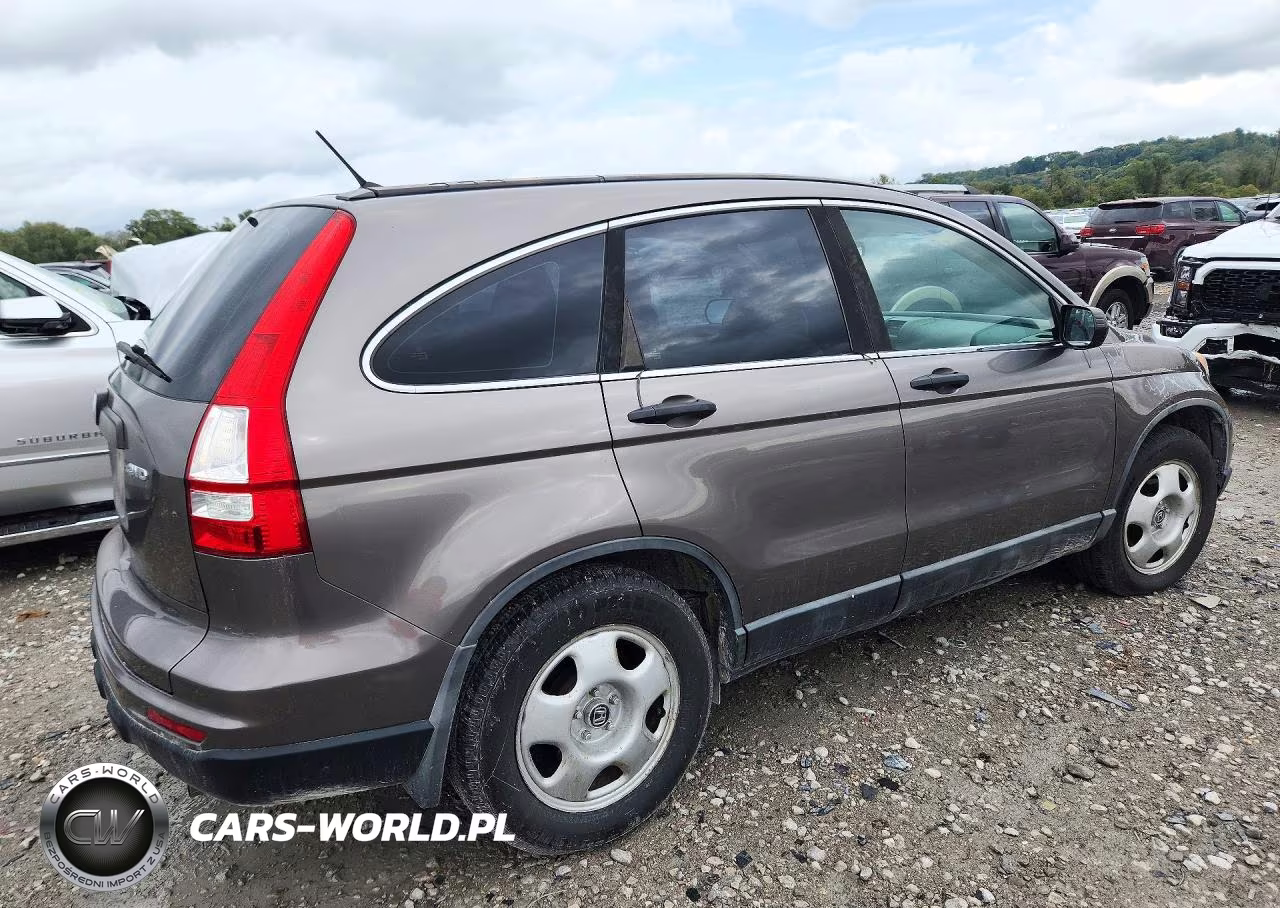 2010 Honda Cr-V Lx VIN:5J6RE4H33AL015777 - 3