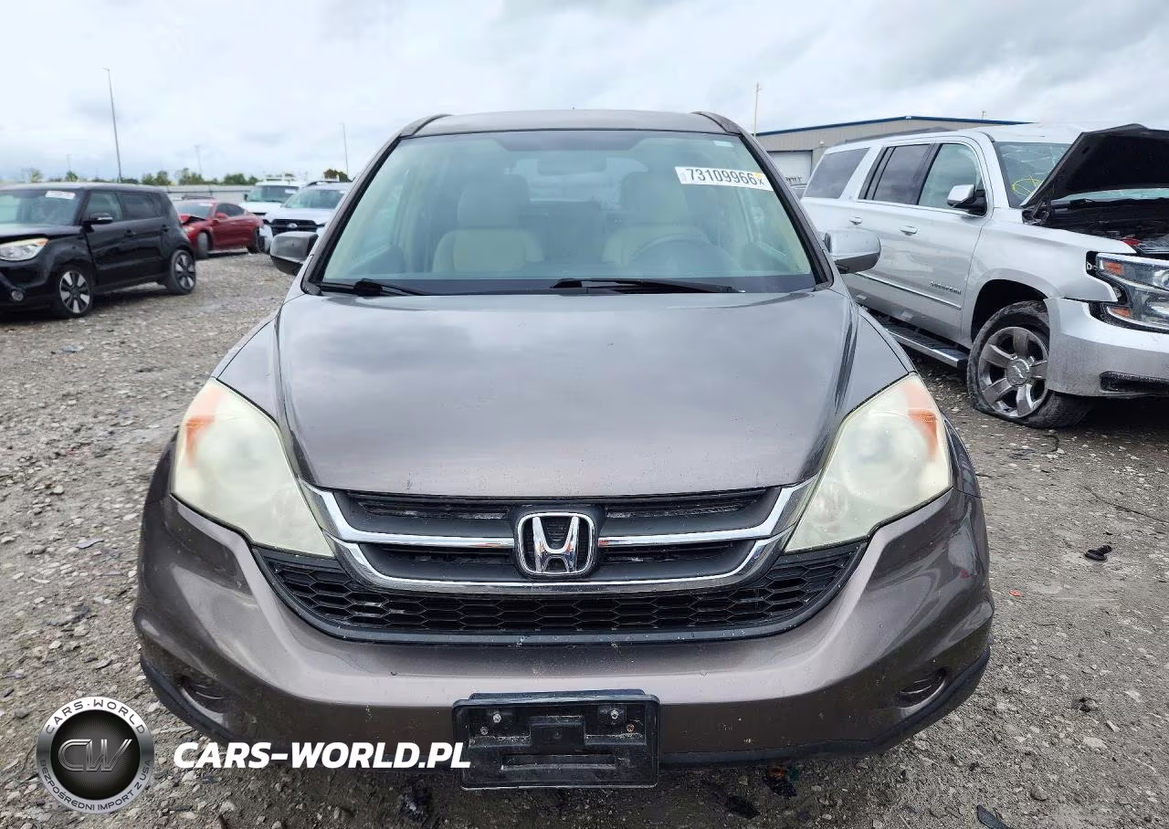 2010 Honda Cr-V Lx VIN:5J6RE4H33AL015777 - 5