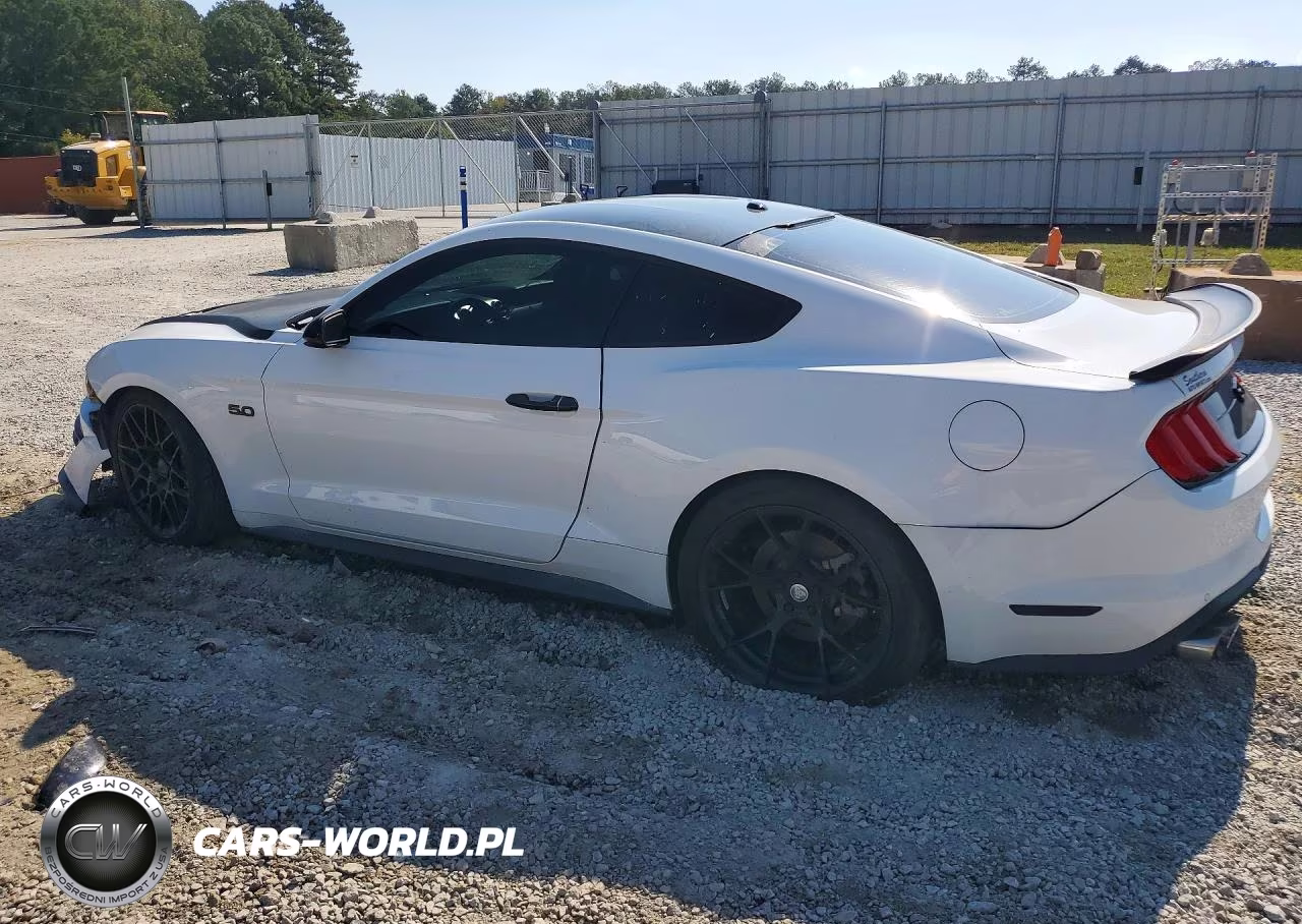 2019 Ford Mustang Gt VIN:1FA6P8CF6K5192508 - 2