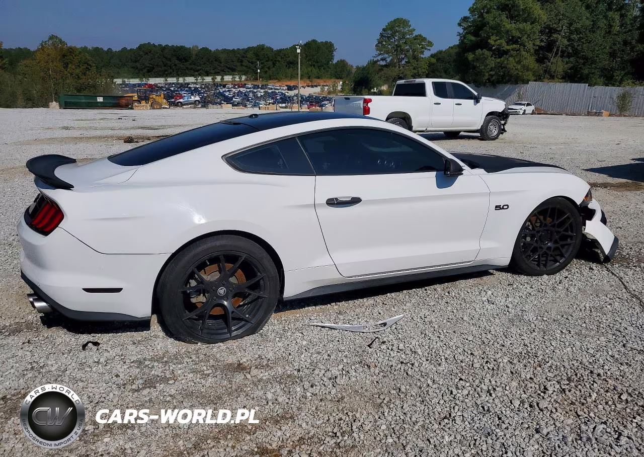 2019 Ford Mustang Gt VIN:1FA6P8CF6K5192508 - 3