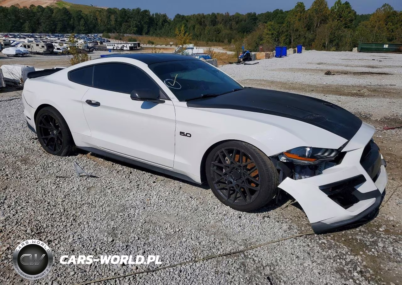 2019 Ford Mustang Gt VIN:1FA6P8CF6K5192508 - 4