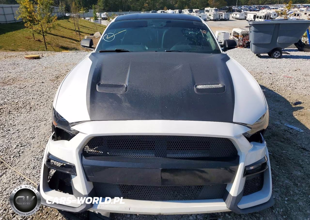 2019 Ford Mustang Gt VIN:1FA6P8CF6K5192508 - 5