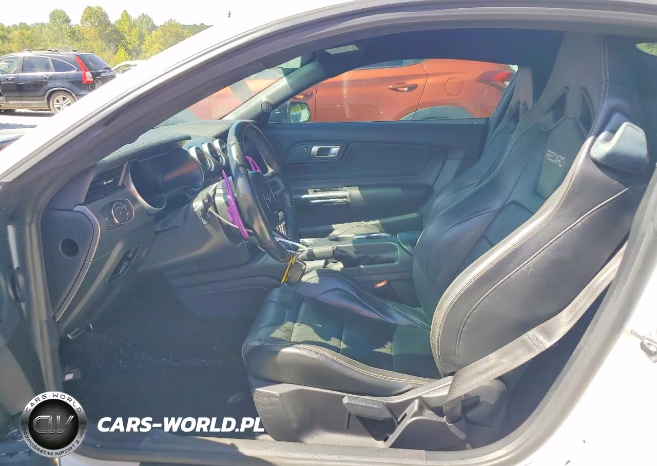 2019 Ford Mustang Gt VIN:1FA6P8CF6K5192508 - 7
