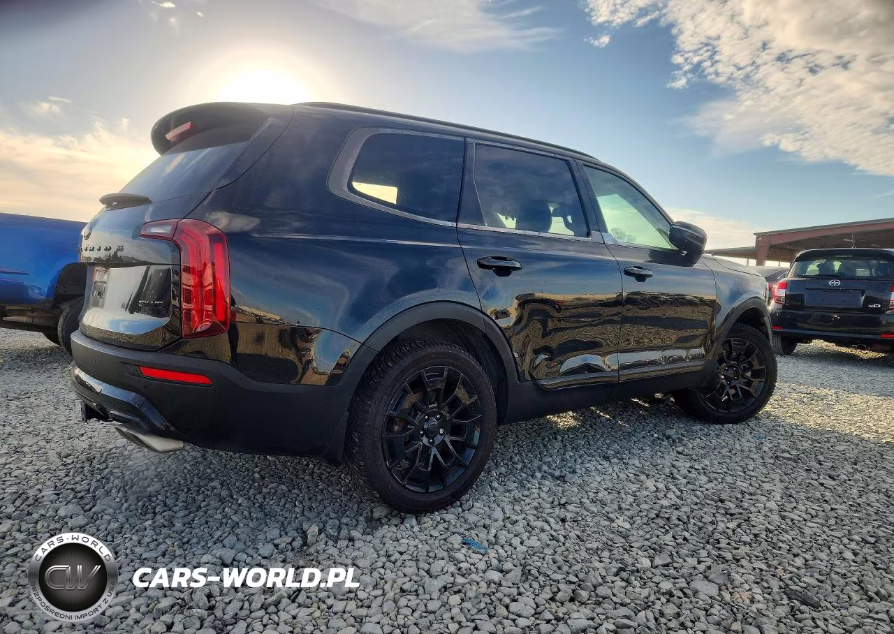 2021 Kia Telluride Ex VIN:5XYP3DHC3MG105157 - 3