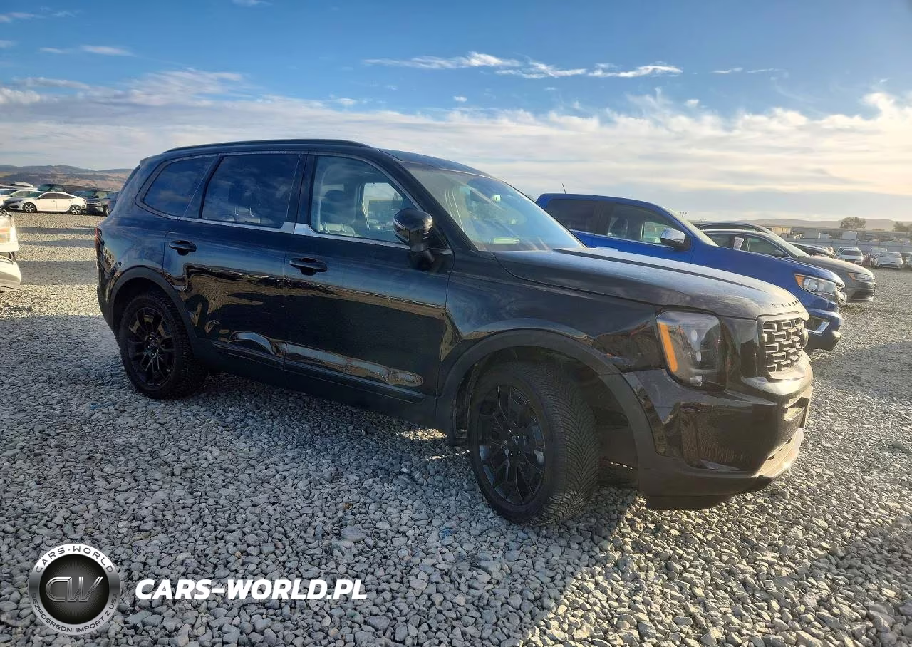 2021 Kia Telluride Ex VIN:5XYP3DHC3MG105157 - 4