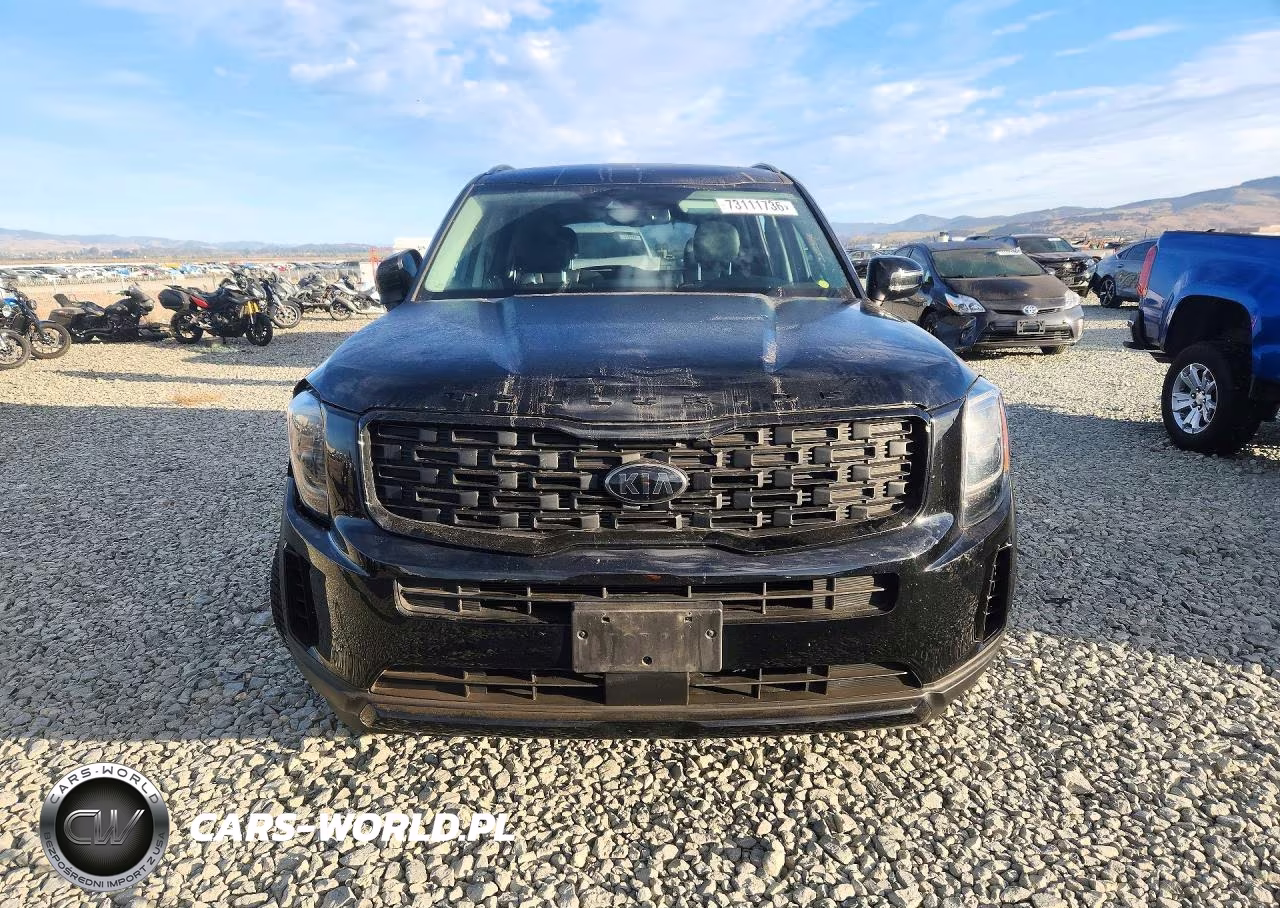 2021 Kia Telluride Ex VIN:5XYP3DHC3MG105157 - 5