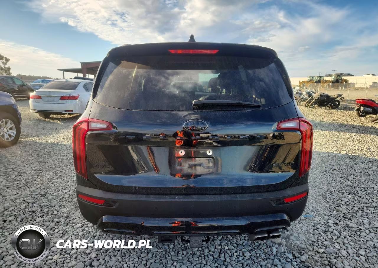 2021 Kia Telluride Ex VIN:5XYP3DHC3MG105157 - 6