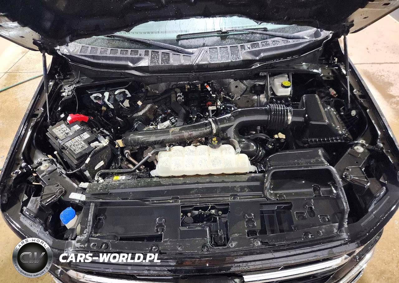 2025 Ford F150 Xlt VIN:1FTEW3K88SKE69921 - 11