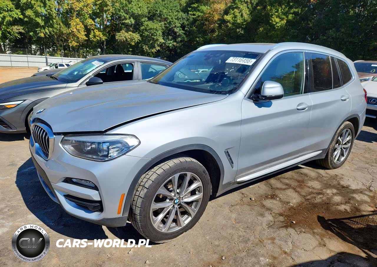 2019 BMW X3 Sdrive30I VIN:5UXTR7C53KLR45298 - 1