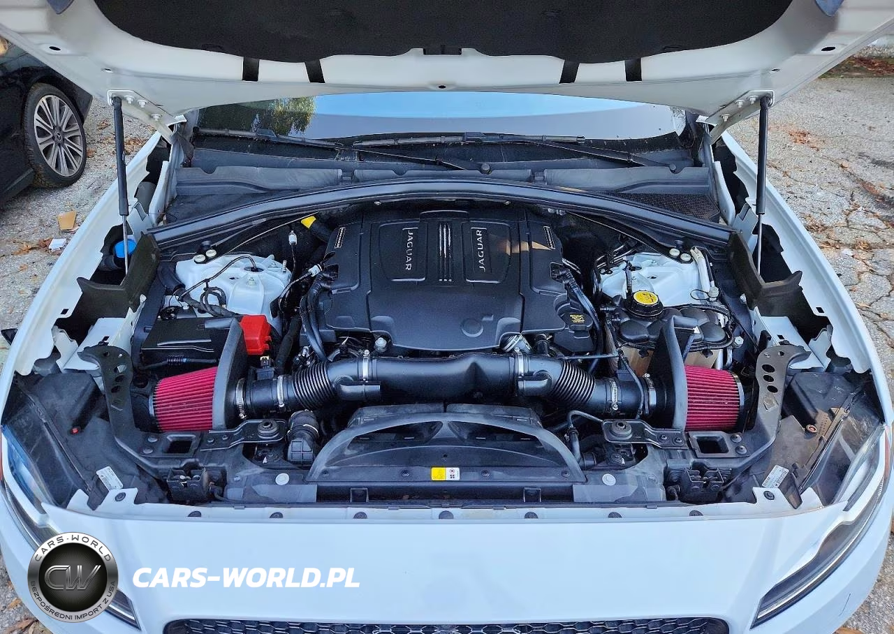 2019 Jaguar F-Pace S VIN:SADCM2FV1KA360668 - 11