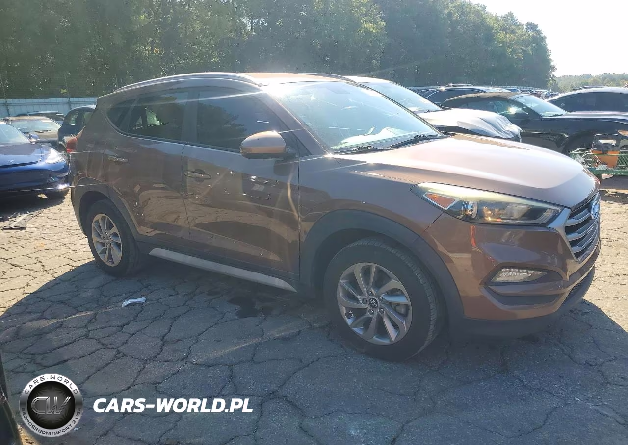 2017 Hyundai Tucson Se VIN:KM8J33A43HU426277 - 4