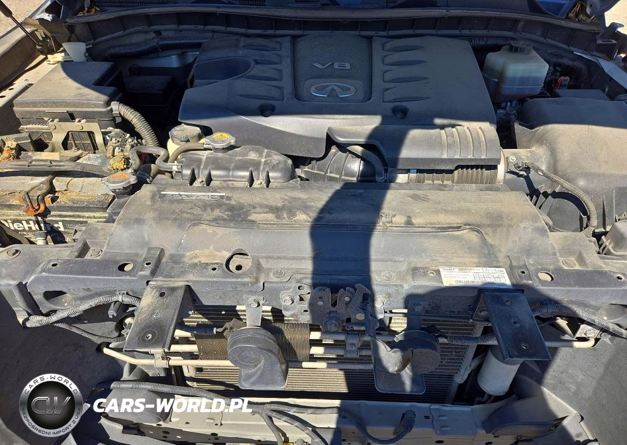 2019 Infiniti Qx80 Luxe VIN:JN8AZ2NE9K9233307 - 11