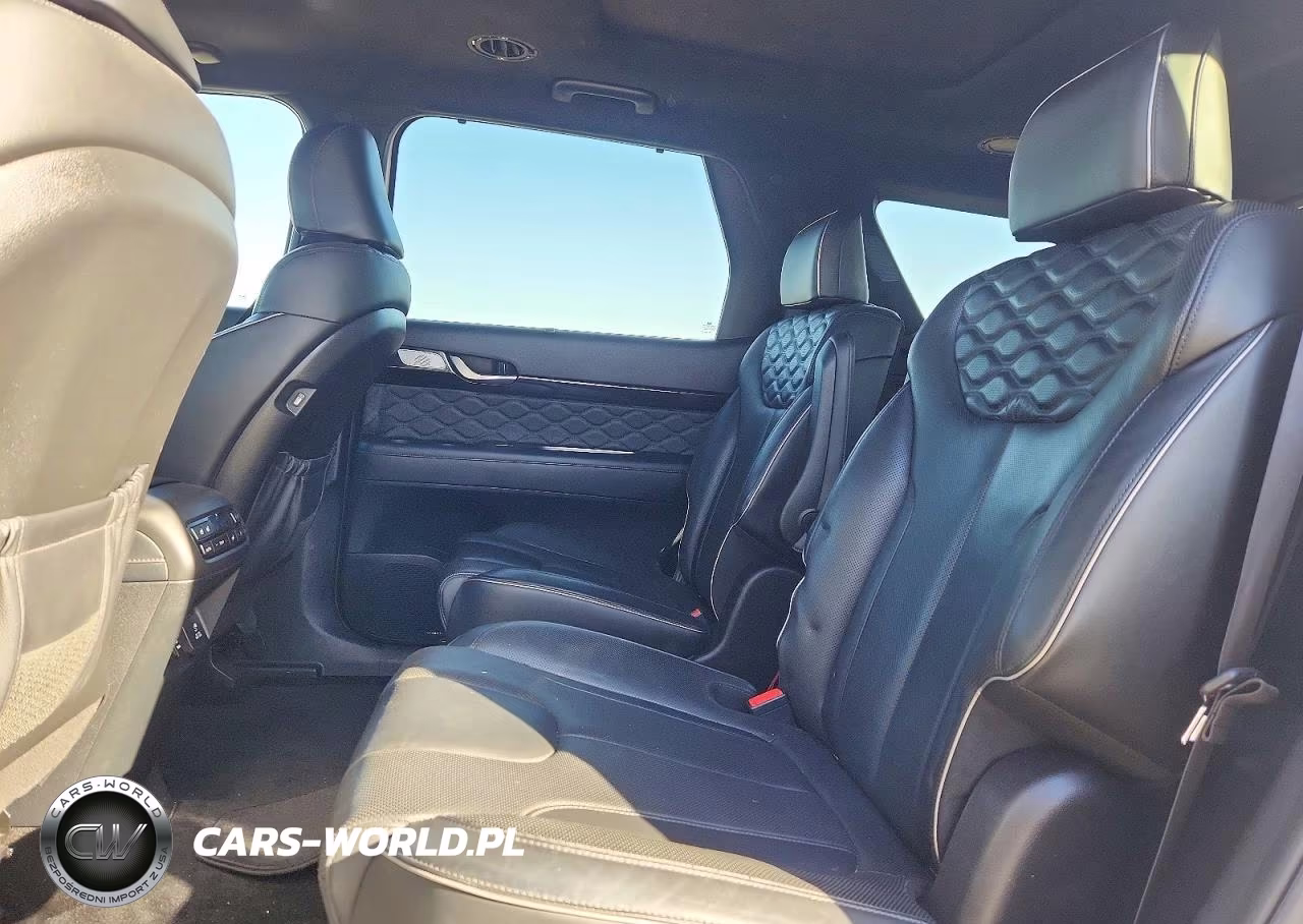 2020 Hyundai Palisade Limited VIN:KM8R5DHE7LU115798 - 11