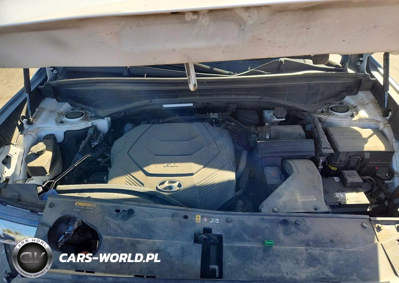 2020 Hyundai Palisade Limited VIN:KM8R5DHE7LU115798 - 12