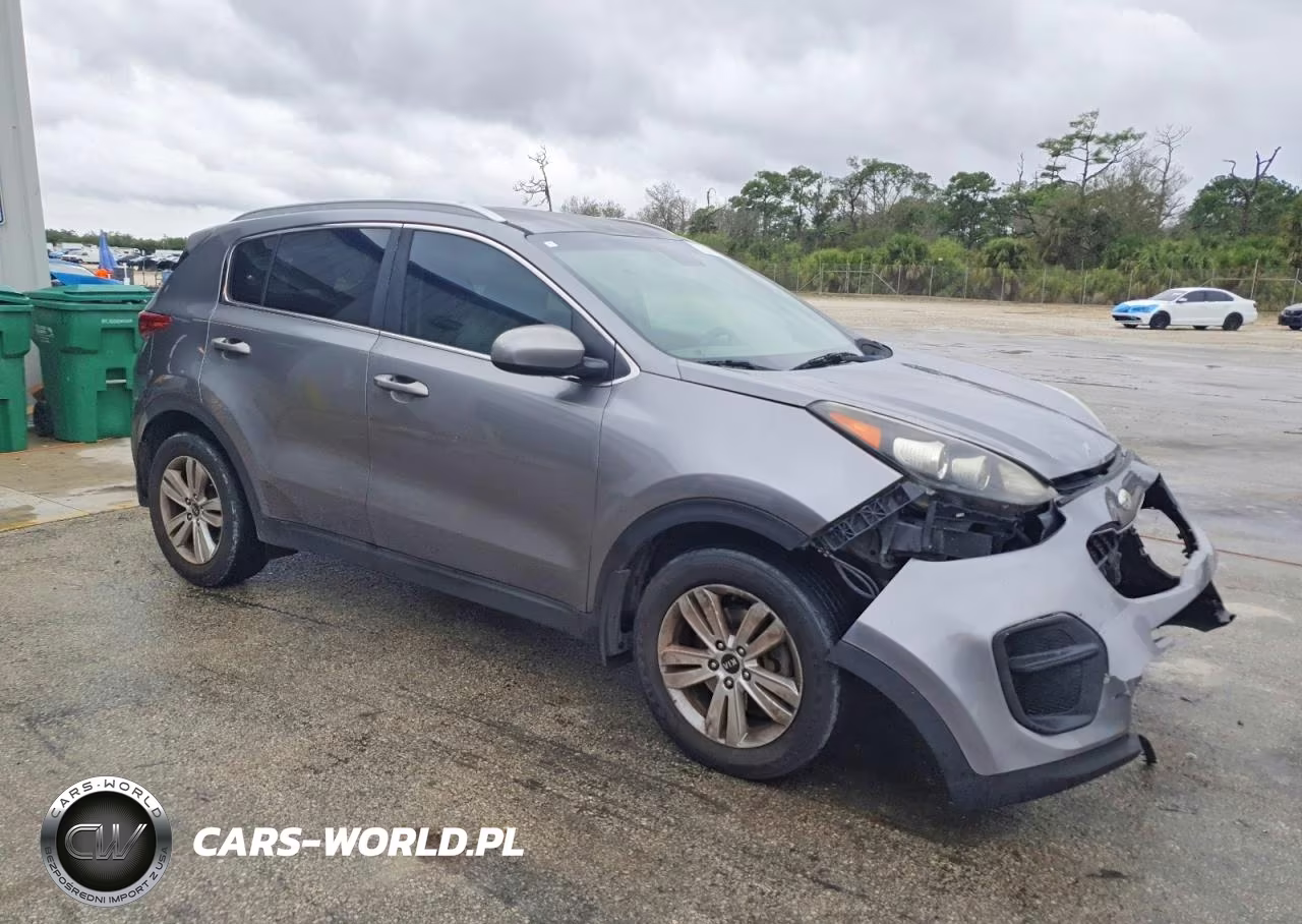 2017 Kia Sportage Lx VIN:KNDPM3AC3H7169283 - 4
