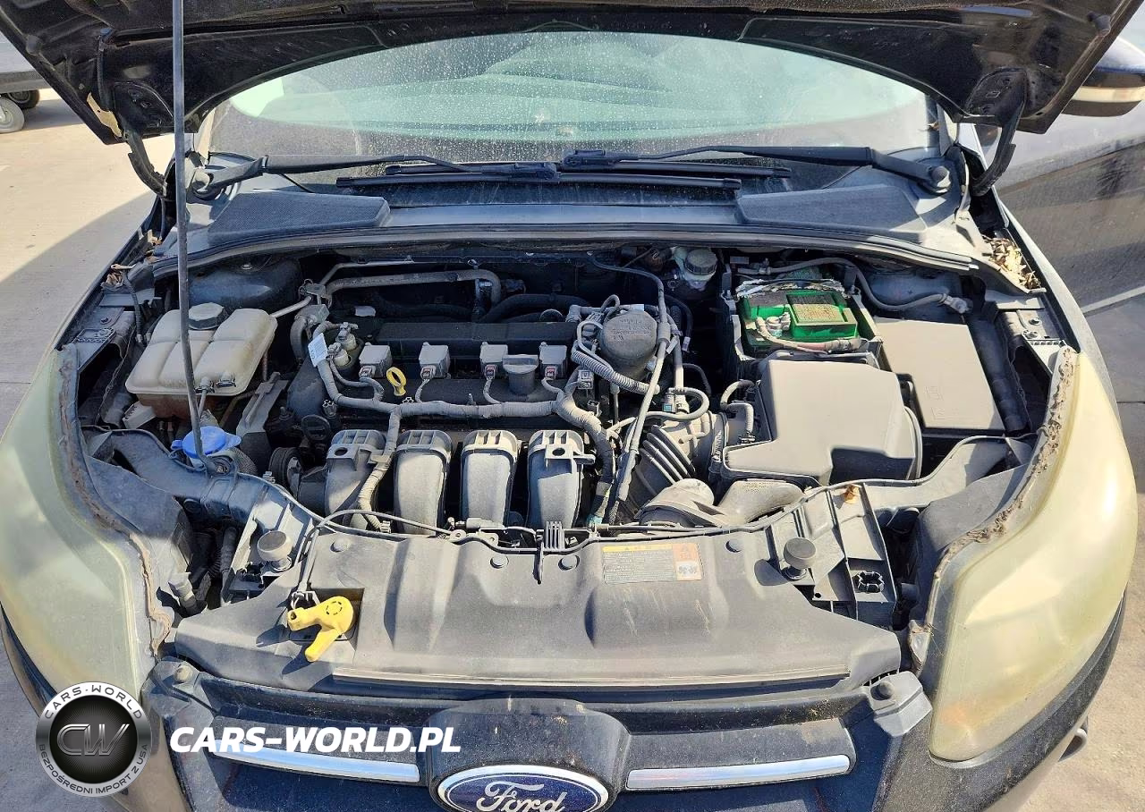 2013 Ford Focus Titanium VIN:1FADP3N23DL270715 - 11