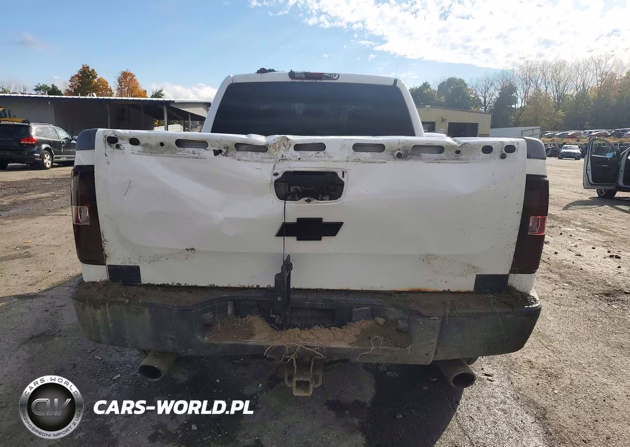 2010 Chevrolet C-K 1500 S VIN:1GCSKSE3XAZ161275 - 6