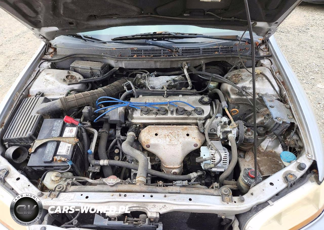 2001 Honda Accord Lx VIN:JHMCG564X1C029083 - 11