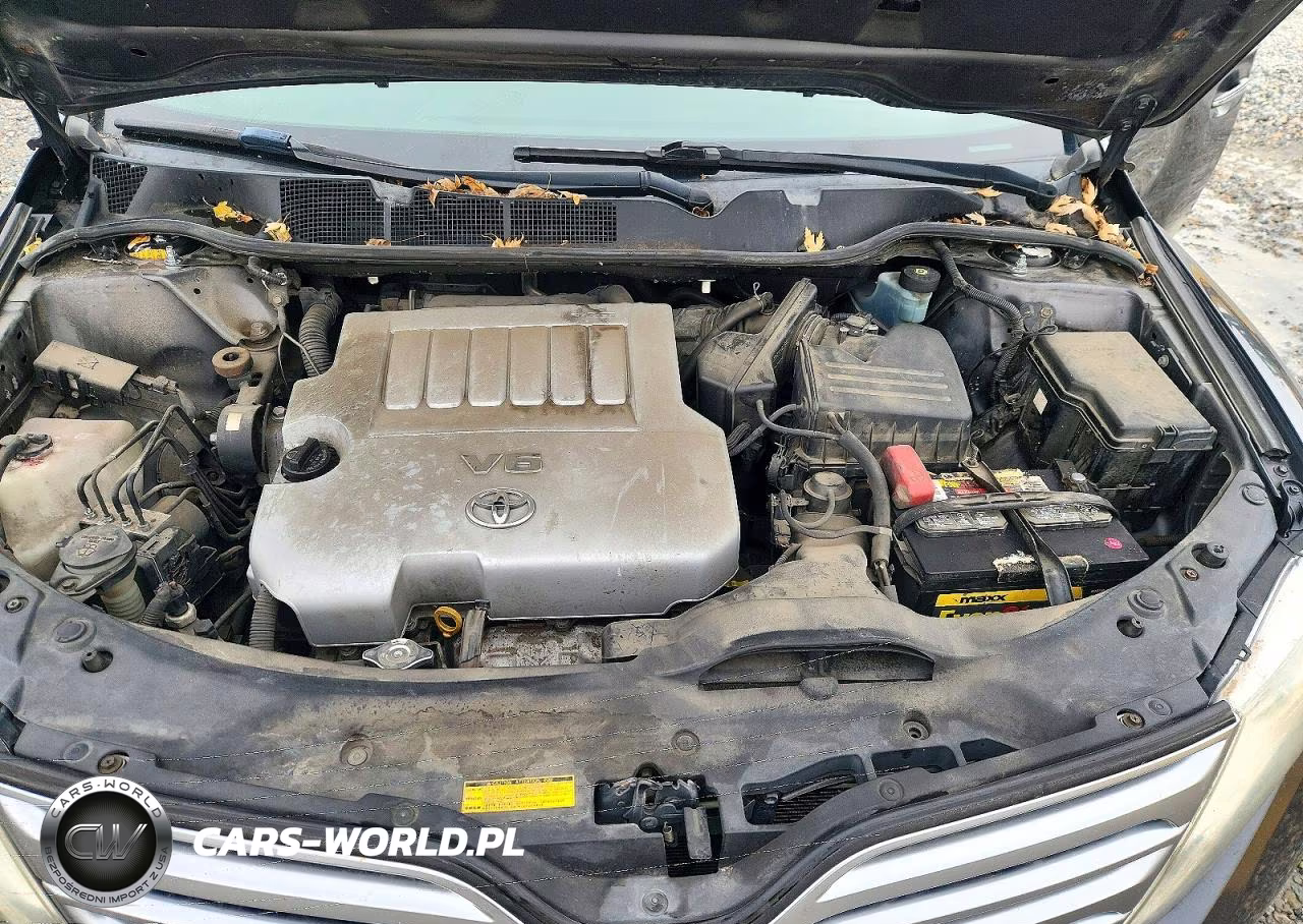 2010 Toyota Venza Awd V6 VIN:4T3BK3BB3AU044929 - 12