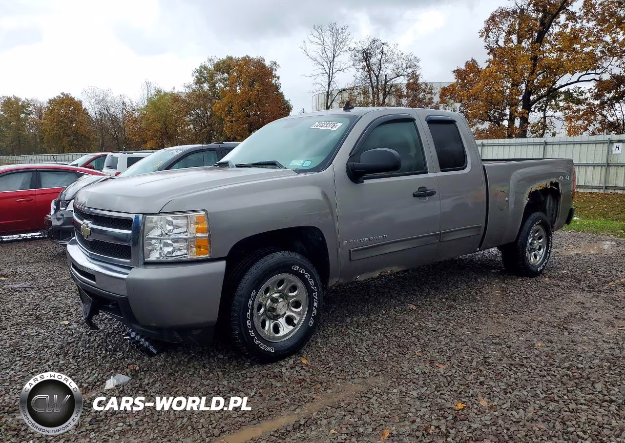2009 Chevrolet Silverado K1500 VIN:1GCEK19C29Z220316 - 1