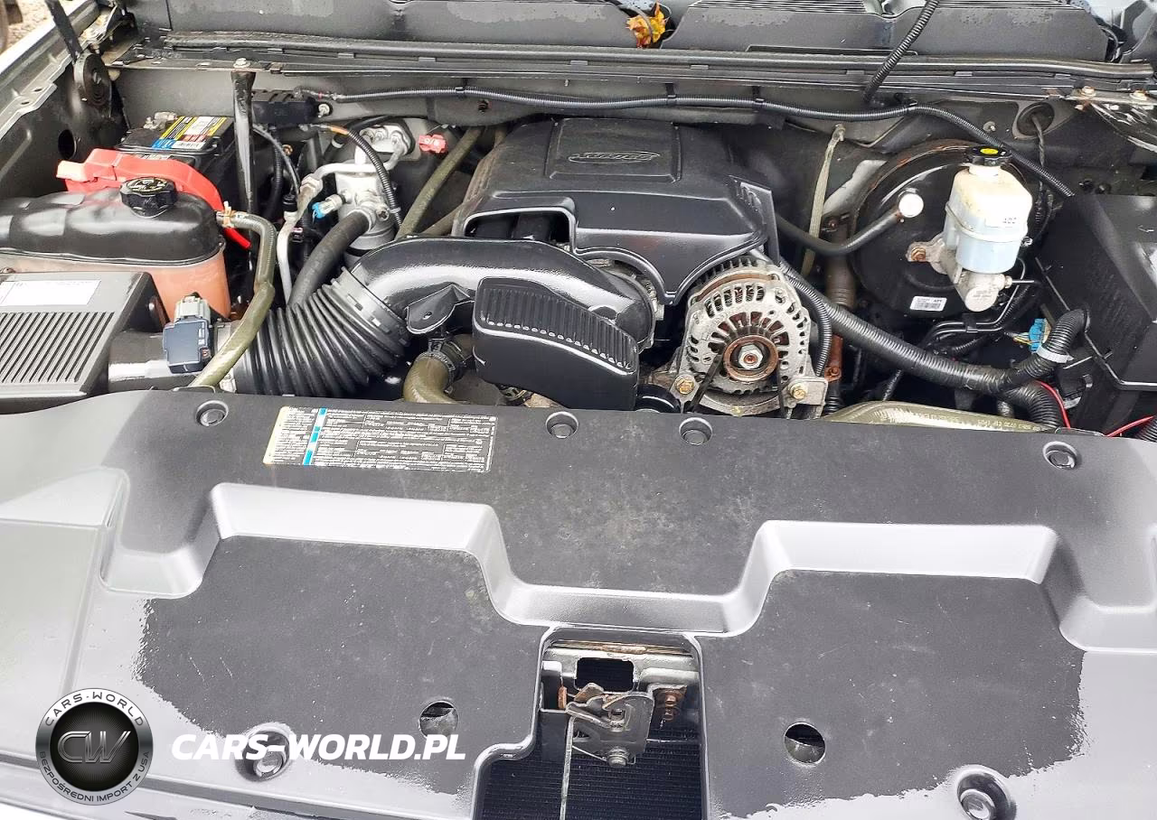 2009 Chevrolet Silverado K1500 VIN:1GCEK19C29Z220316 - 11