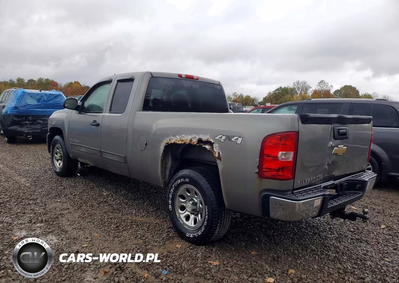 2009 Chevrolet Silverado K1500 VIN:1GCEK19C29Z220316 - 2