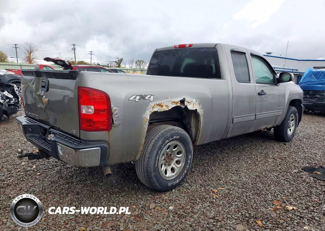 2009 Chevrolet Silverado K1500 VIN:1GCEK19C29Z220316 - 3