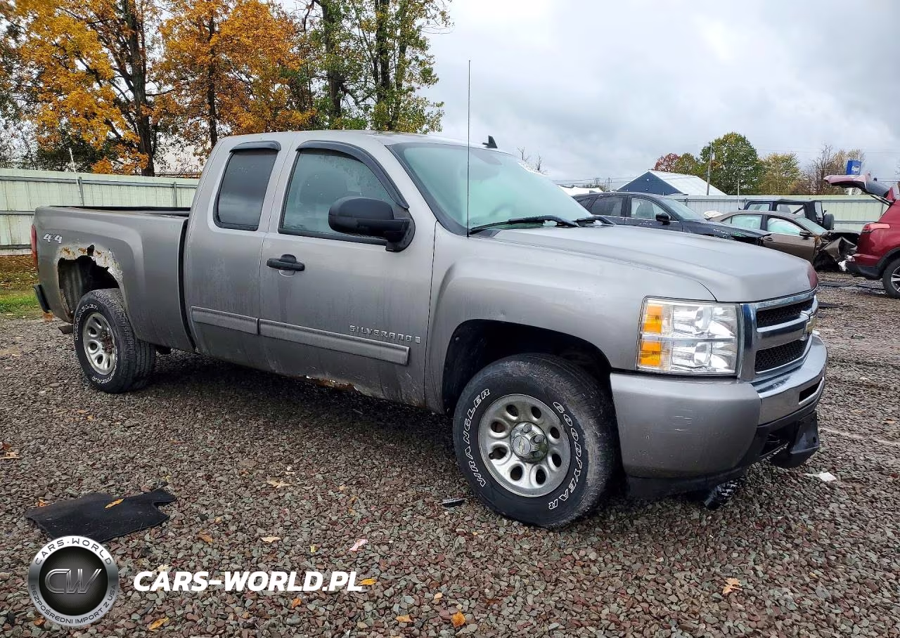 2009 Chevrolet Silverado K1500 VIN:1GCEK19C29Z220316 - 4