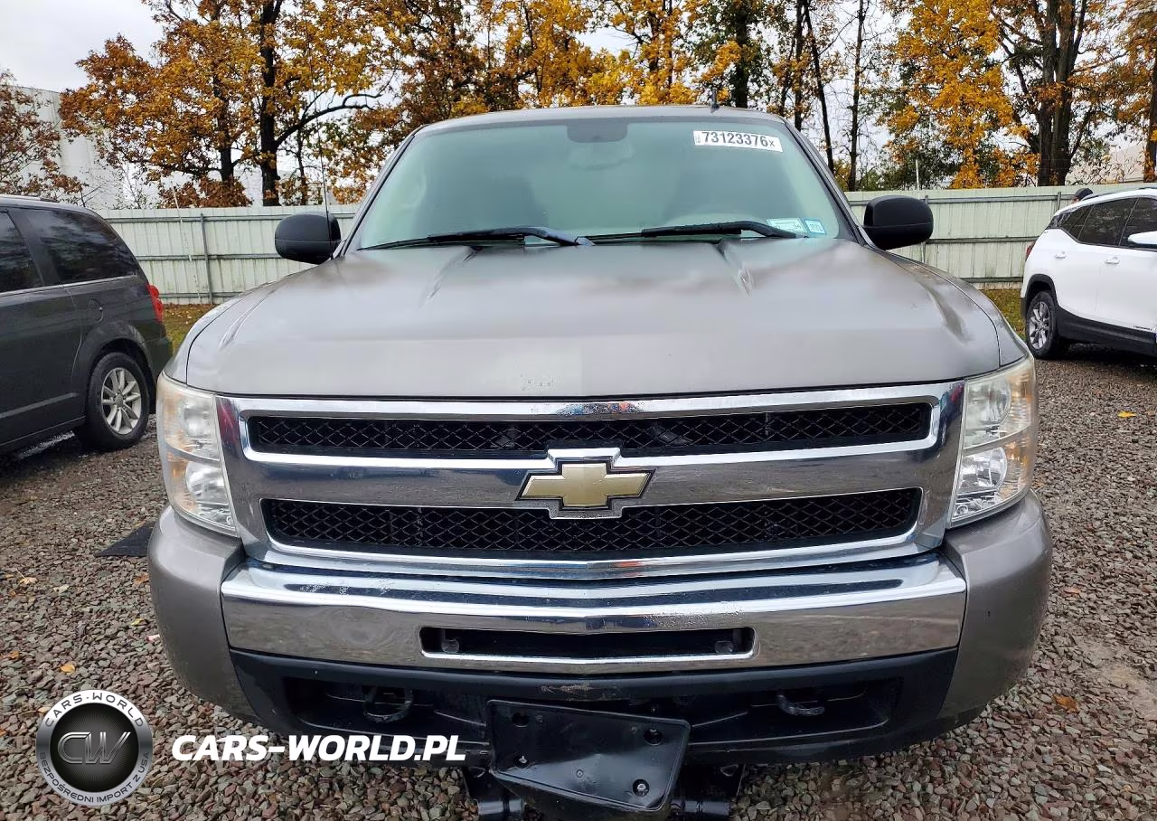 2009 Chevrolet Silverado K1500 VIN:1GCEK19C29Z220316 - 5