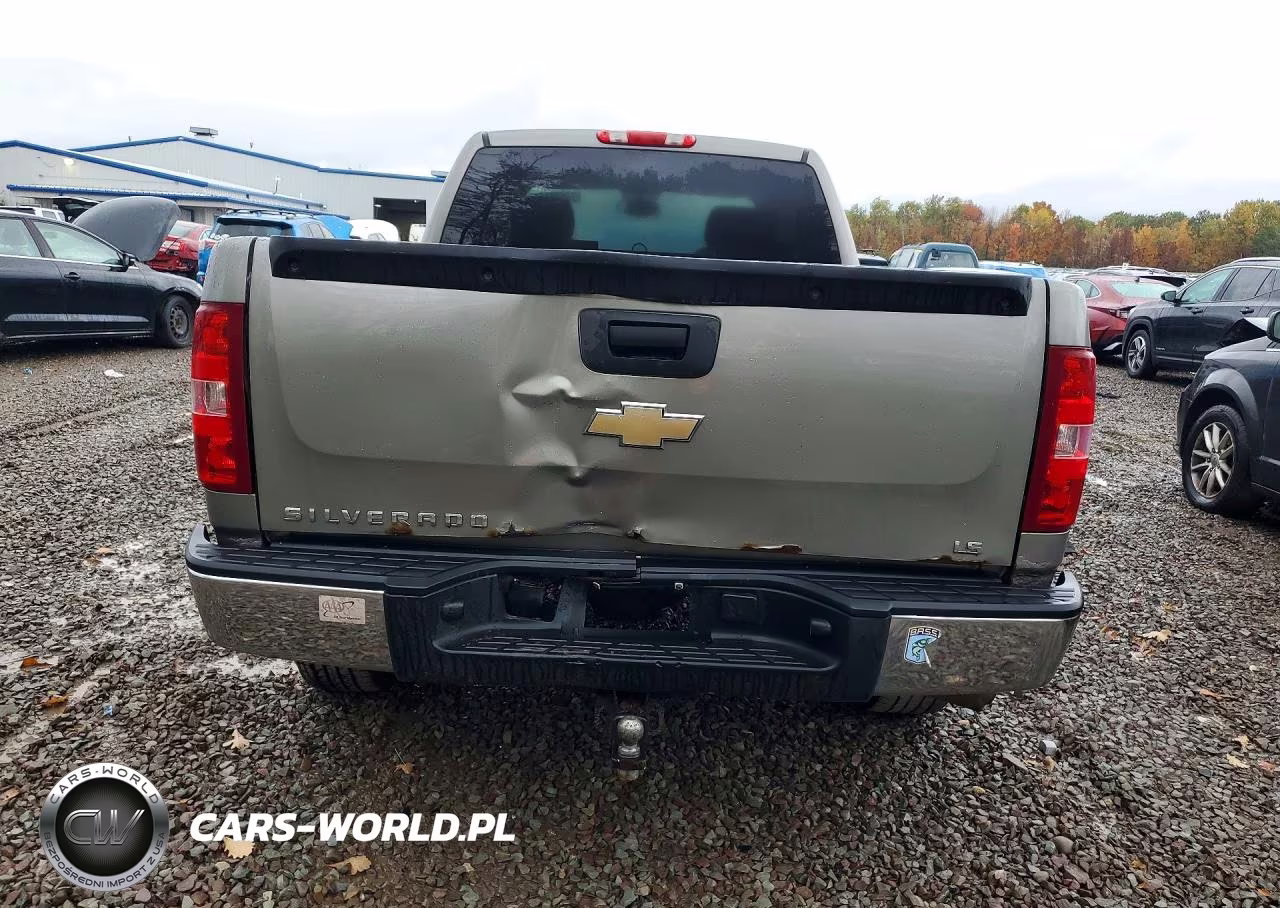 2009 Chevrolet Silverado K1500 VIN:1GCEK19C29Z220316 - 6