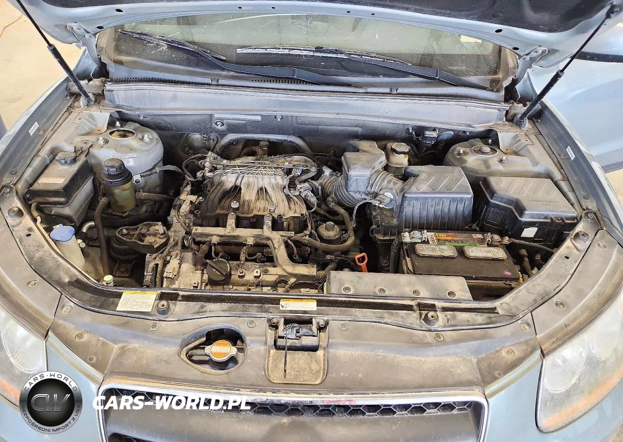 2009 Hyundai Santa Fe Se VIN:5NMSH73E49H325863 - 12