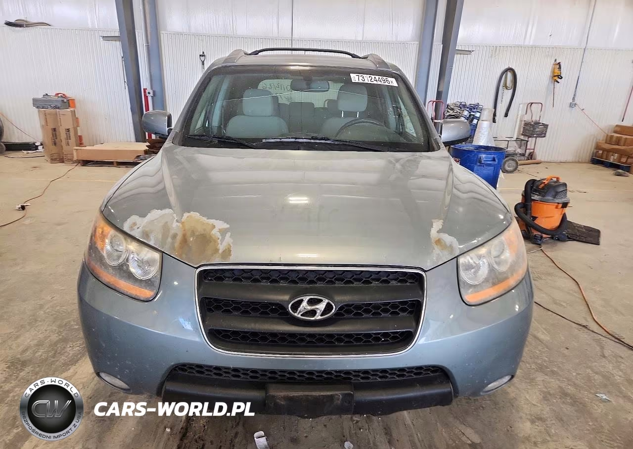 2009 Hyundai Santa Fe Se VIN:5NMSH73E49H325863 - 5