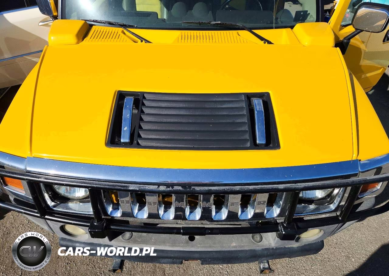2003 Hummer H2 VIN:5GRGN23UX3H131337 - 12