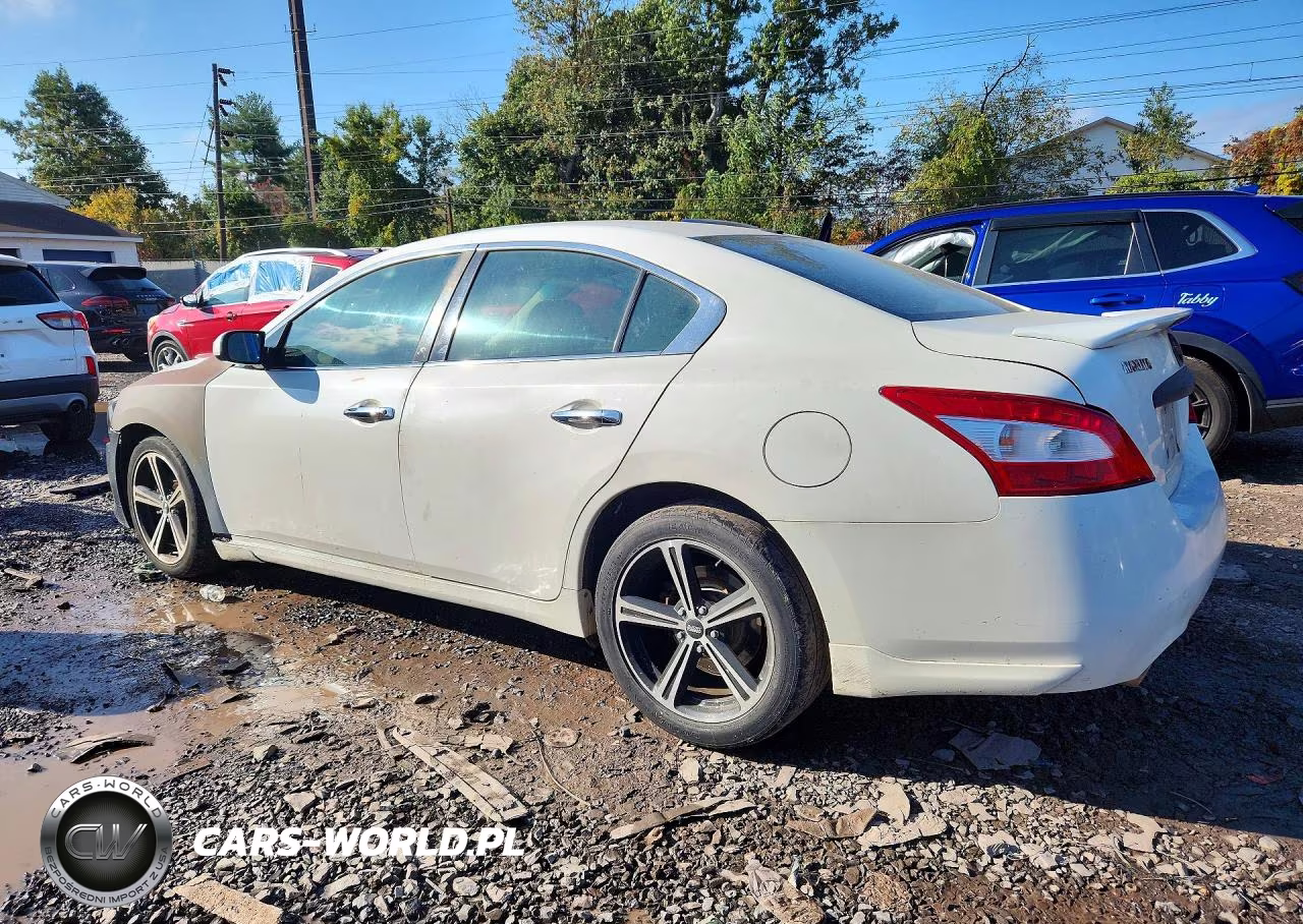 2009 Nissan Maxima 3.5 S VIN:1N4AA51E29C861013 - 2