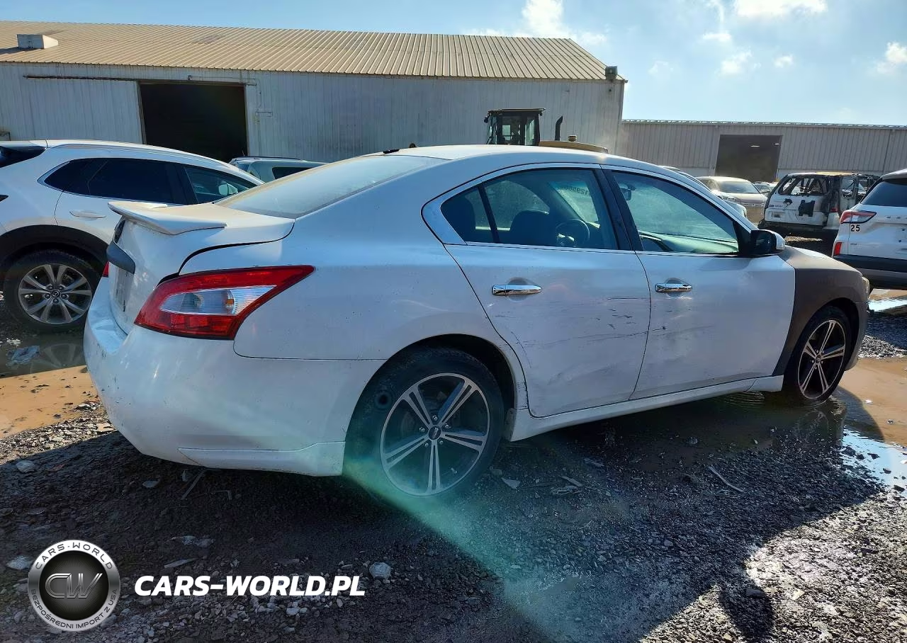 2009 Nissan Maxima 3.5 S VIN:1N4AA51E29C861013 - 3