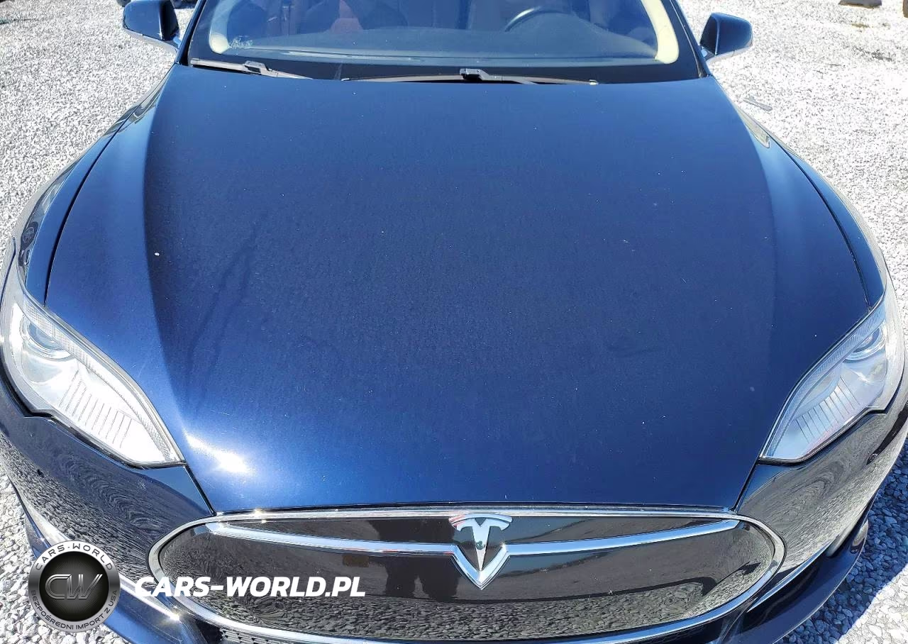 2013 Tesla Model S VIN:5YJSA1DP2DFP17042 - 11