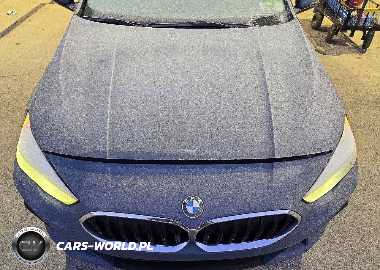 2021 BMW 228Xi VIN:WBA73AK0XM7H22047 - 11