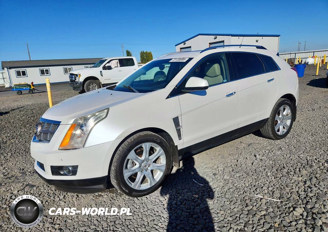 2010 Cadillac Srx Premium Collection VIN:3GYFNKE49AS628825 - 1