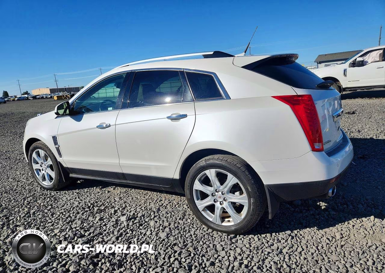 2010 Cadillac Srx Premium Collection VIN:3GYFNKE49AS628825 - 2