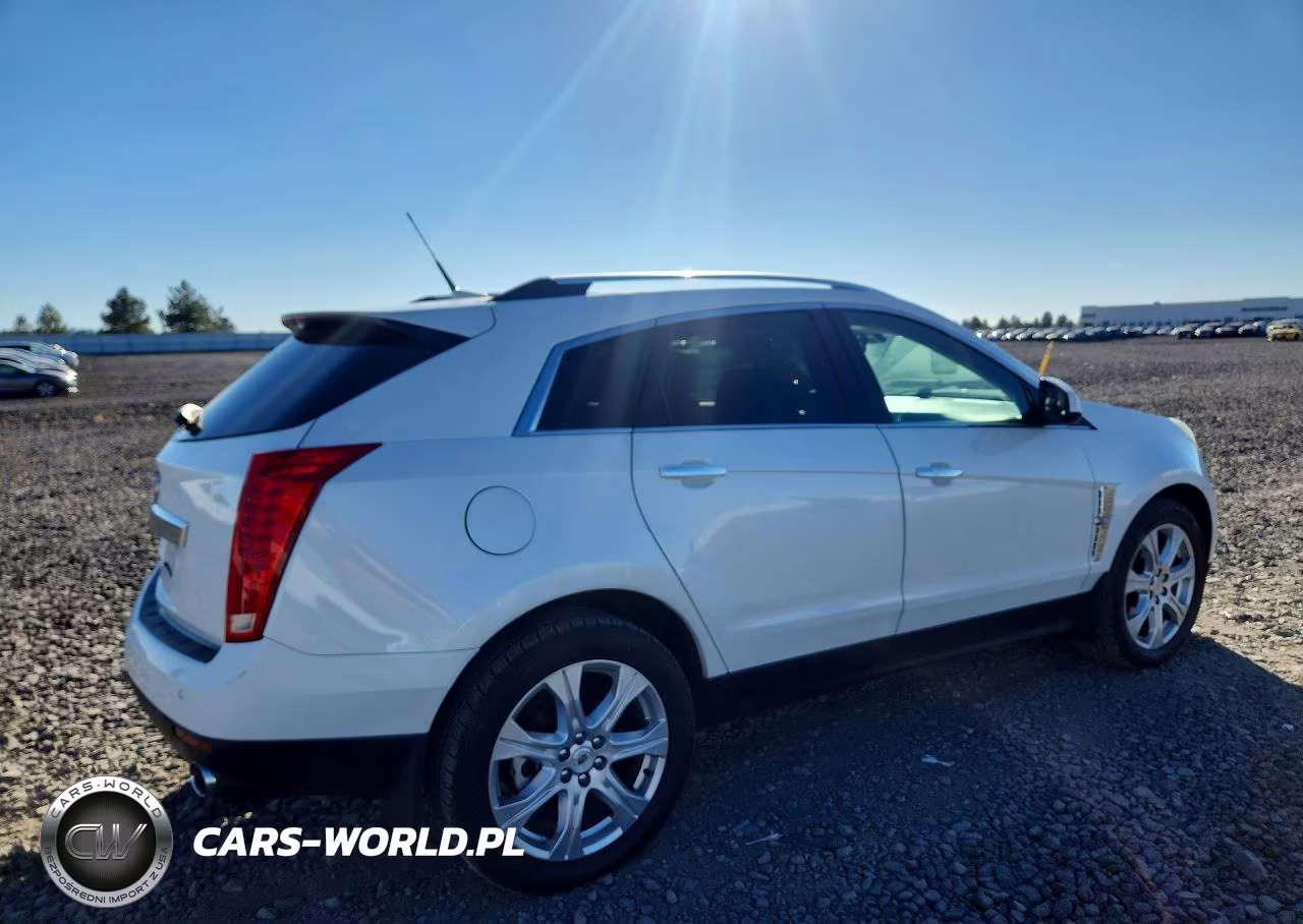 2010 Cadillac Srx Premium Collection VIN:3GYFNKE49AS628825 - 3