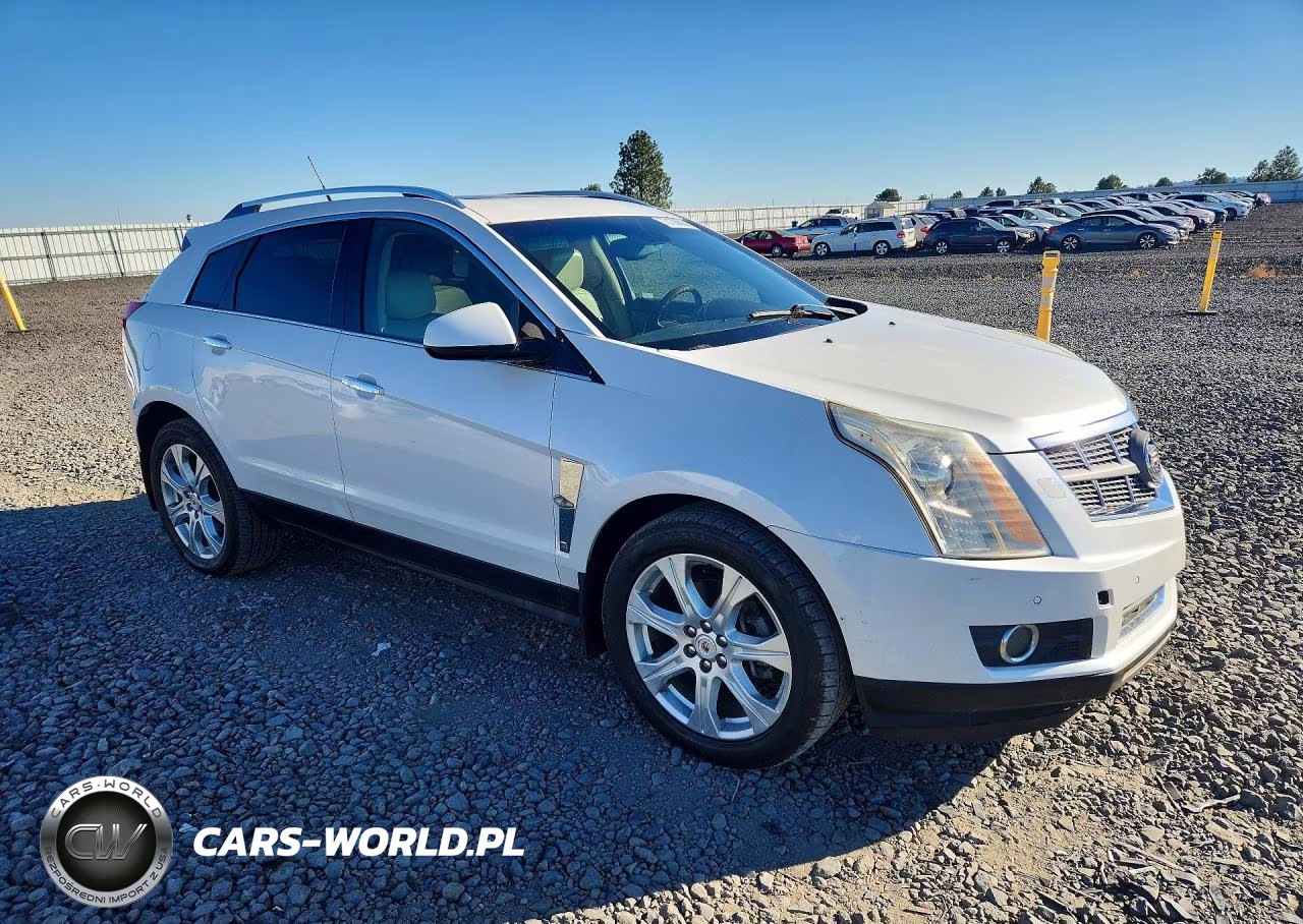 2010 Cadillac Srx Premium Collection VIN:3GYFNKE49AS628825 - 4