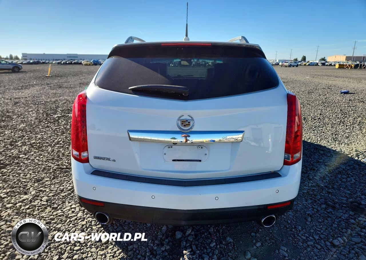2010 Cadillac Srx Premium Collection VIN:3GYFNKE49AS628825 - 6