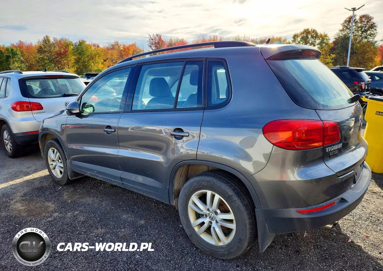2016 Volkswagen Tiguan S VIN:WVGBV7AX5GW002005 - 2